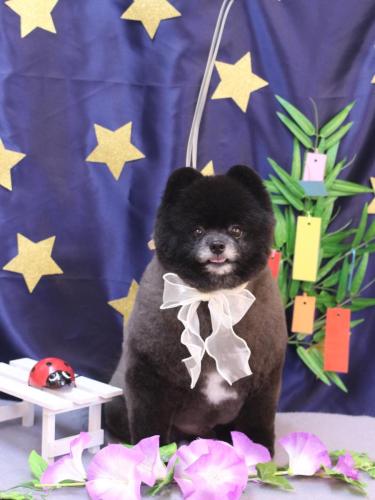 20230716れおくん